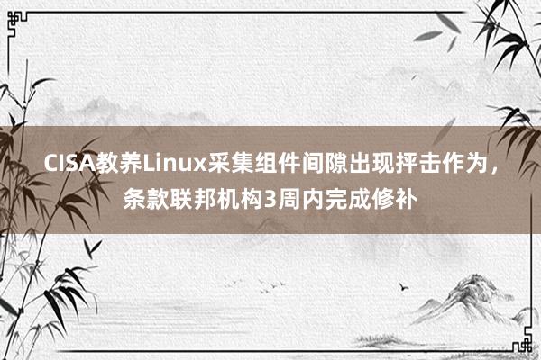 CISA教养Linux采集组件间隙出现抨击作为，条款联邦机构3周内完成修补