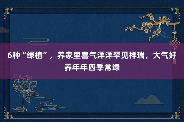 6种“绿植”，养家里喜气洋洋罕见祥瑞，大气好养年年四季常绿