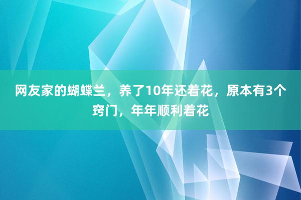 网友家的蝴蝶兰，养了10年还着花，原本有3个窍门，年年顺利着花