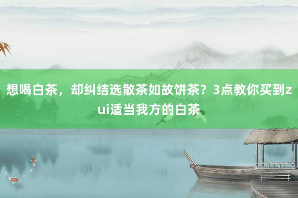 想喝白茶，却纠结选散茶如故饼茶？3点教你买到zui适当我方的白茶