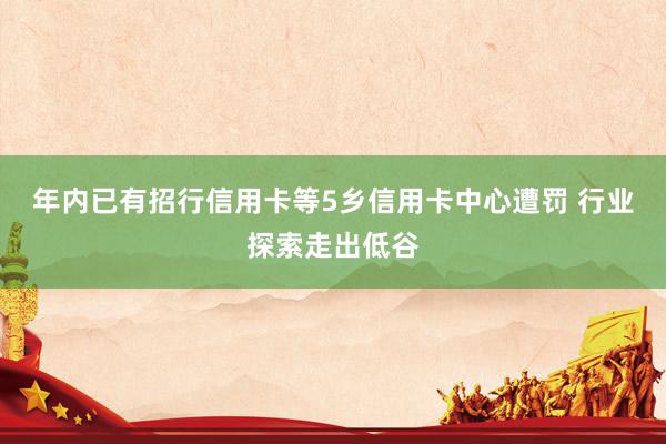 年内已有招行信用卡等5乡信用卡中心遭罚 行业探索走出低谷