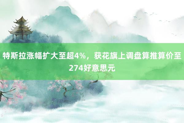 特斯拉涨幅扩大至超4%，获花旗上调盘算推算价至274好意思元