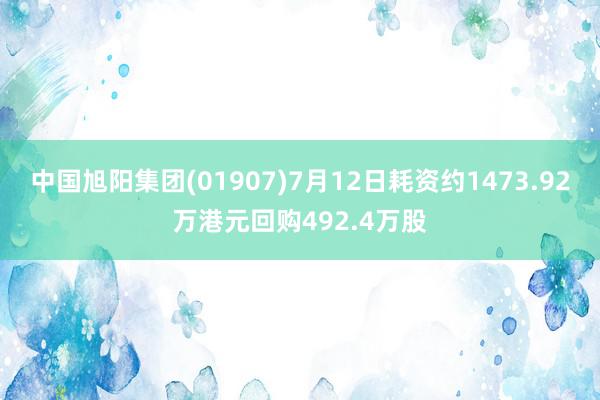 中国旭阳集团(01907)7月12日耗资约1473.92万港元回购492.4万股