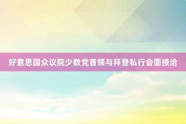 好意思国众议院少数党首领与拜登私行会面接洽