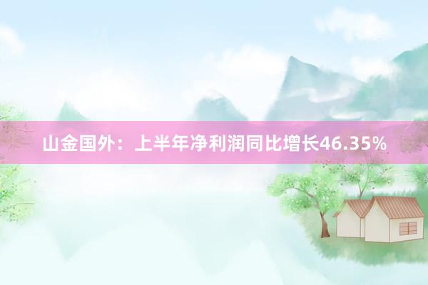 山金国外：上半年净利润同比增长46.35%