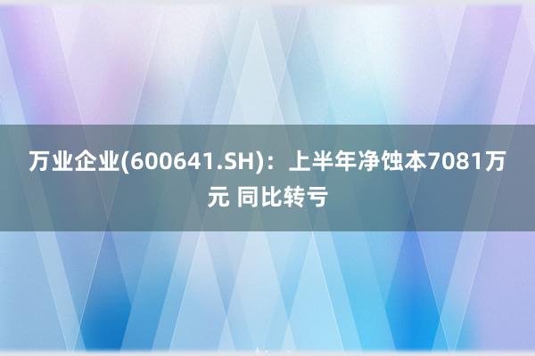 万业企业(600641.SH)：上半年净蚀本7081万元 同比转亏