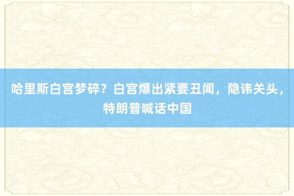 哈里斯白宫梦碎？白宫爆出紧要丑闻，隐讳关头，特朗普喊话中国