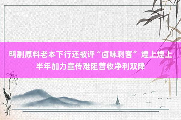 鸭副原料老本下行还被评“卤味刺客” 煌上煌上半年加力宣传难阻营收净利双降