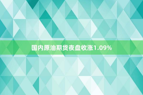 国内原油期货夜盘收涨1.09%