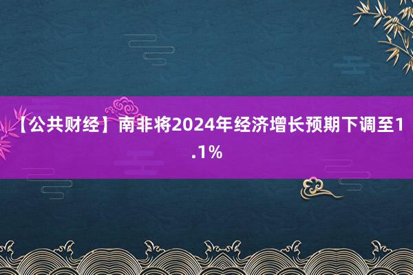 【公共财经】南非将2024年经济增长预期下调至1.1%